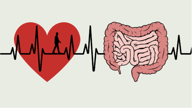 How to exercise your brain and gut strong 